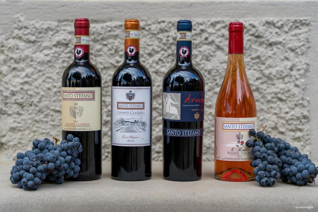 Agriturismo Fattoria Santo Stefano Greve in Chianti Kültér fotó