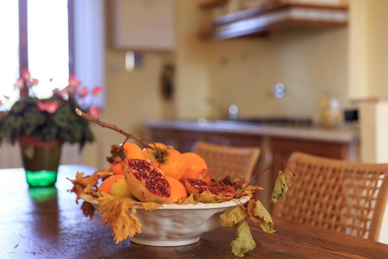 Agriturismo Fattoria Santo Stefano Greve in Chianti Kültér fotó