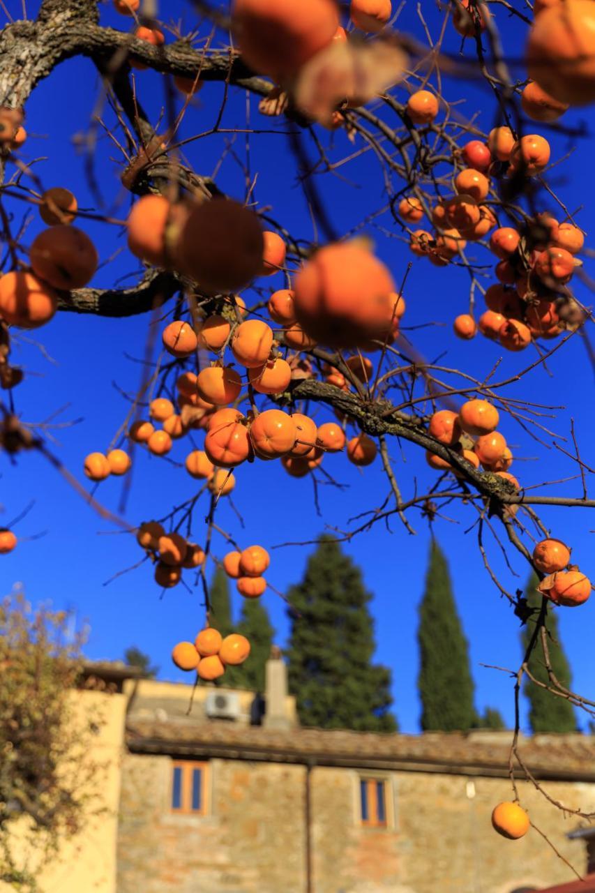 Agriturismo Fattoria Santo Stefano Greve in Chianti Kültér fotó